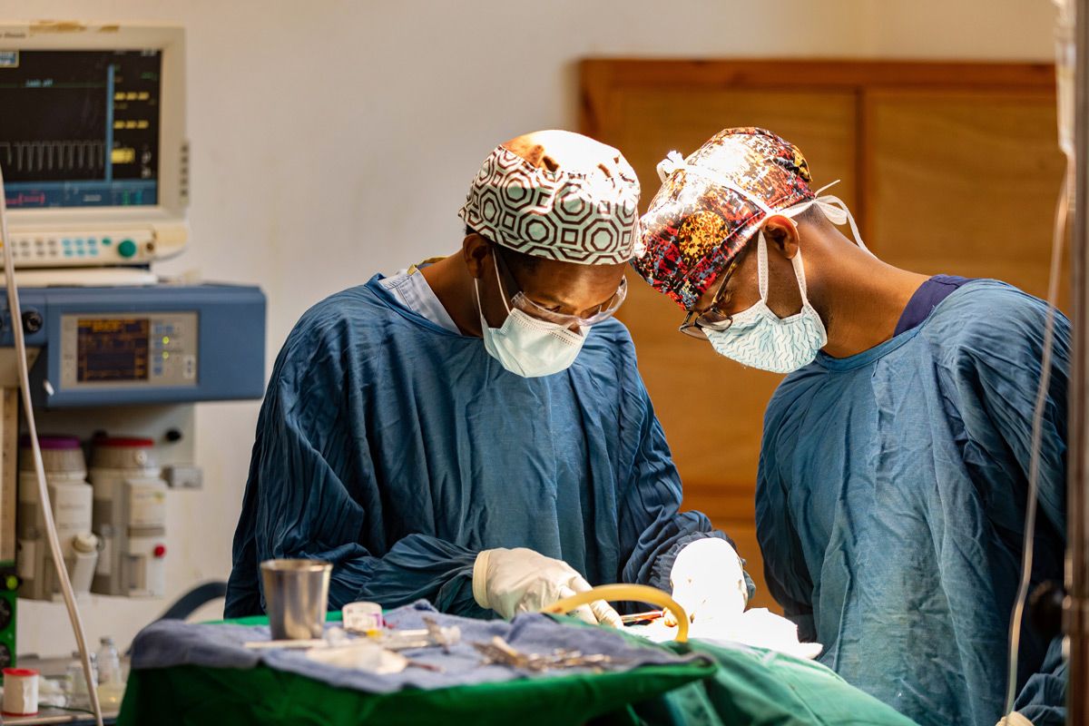 Faculty of Medicine 2